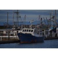 Experience Westport’s Working Waterfront:  Port of Grays Harbor and Westport’s Fresh Catch Announce 