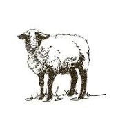 After Hours Networking for Professionals in Business at Shepherd's Run