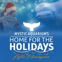 Home for the Holidays - Lights Extravaganza at Mystic Aquarium!