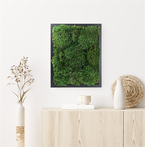Live Moss Wall Art in Black. The world's only live moss air filter and stress relief device.