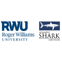 RWU and Atlantic Shark Institute Partner on Shark Research and Internships