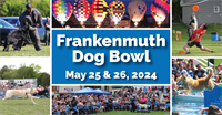 Frankenmuth Dog Bowl