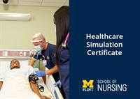 UM Flint Graduate Certificate in Healthcare Simulation, Webinar