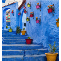 Travel Spain & Morocco with Collette  - Reservation Deadline Extended to 6/1/2021