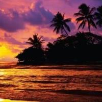 Travel Hawaiian Adventure with Collette - Book by July 18, 2023 and Save!