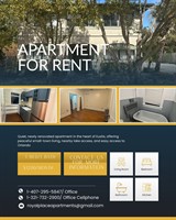 The Wellness Room Collective - Eustis, FL