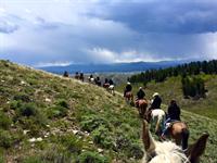 West Elk Wilderness Outfitters West Elk Wilderness Outfitters
