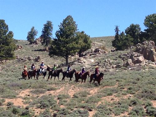 Crested Butte, Almont, Gunnison Horseback Riding