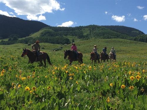 Crested Butte, Almont, Gunnison Horseback Riding