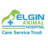 Welcome New Member: Elgin Animal Hospital