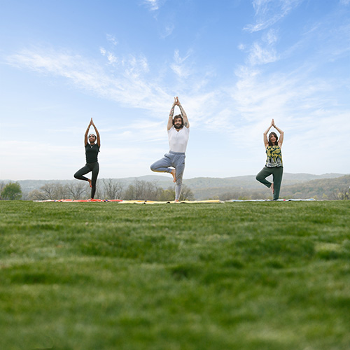 Gallery Image Outdoor-Yoga-P1I8282-editB.jpg
