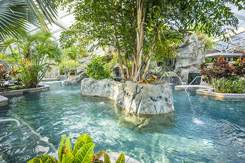 Gallery Image Tropical-Biosphere_DSC5258-smaller_(1).jpg