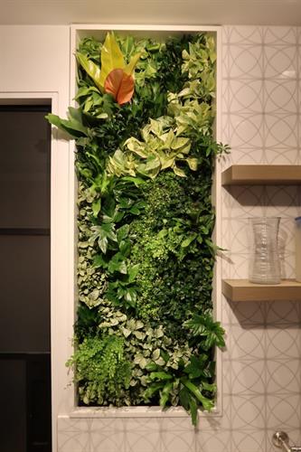Gallery Image living_wall_kitchen_1.jpg