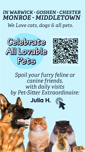 Let's create your digital presence.