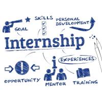 How to Build an Internship Program for Your Small Business