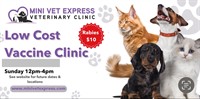 Mini Vet Express - San Marcos