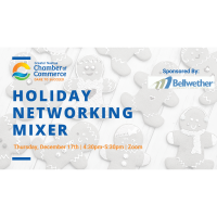 Holiday Networking Mixer