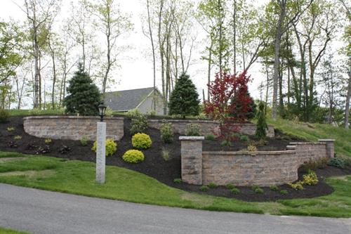 Gallery Image _2_FRONT_yard_trees_and_shrubs_in_ret_walls.jpg