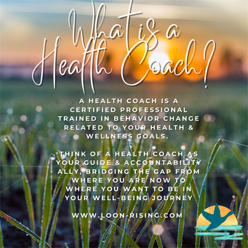 Definition Health Coach