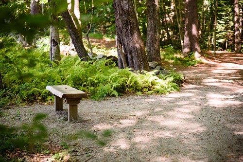 Gallery Image BeaverBrook2022__0031_websize.jpg