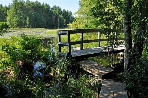 Gallery Image beaverbrook-social-media.jpg