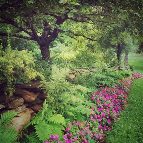 Gallery Image shade-garden-by-Donna-corey-1-620x620.jpg