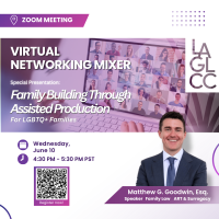 LAGLCC Virtual Networking Mixer