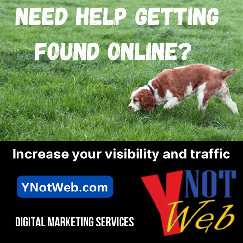 Need Help Getting Found Online?