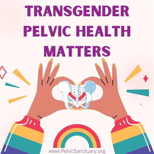 Gallery Image Transgender_pelvic_health_matters.jpg