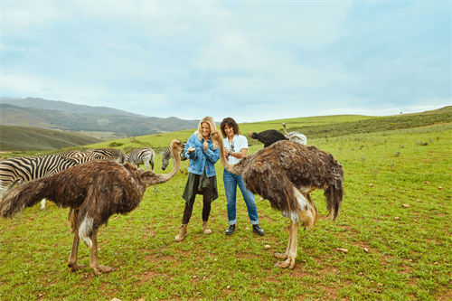 Gallery Image lesbian_couple_ostriches.png