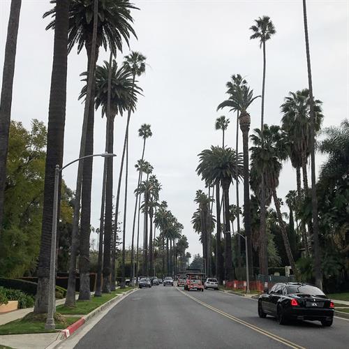 Iconic Photo Opportunities During a Tour of Los Angeles and Beverly Hills. Perfect for Influencers!