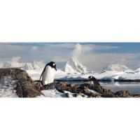 Journey to Antarctica: The White Continent TRAVEL PRESENTATION