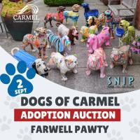 Dogs of Carmel Adoption Auction Farewell Pawty