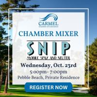 Chamber Mixer for SNIP BUS