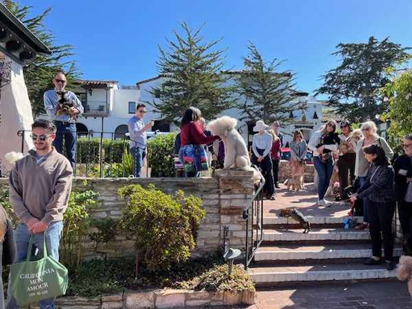 Gallery Image Blessing_of_Animals_2025_cotw.jpeg