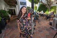 Yappy Hour Is Back at Cypress Inn!