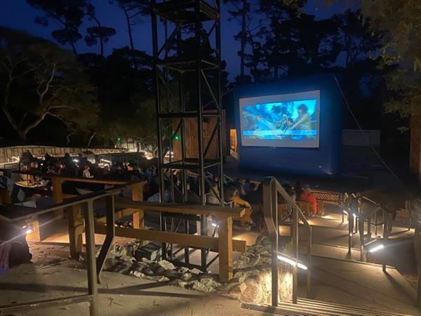 Films in the Forest - Mamma Mia with local sponsor Team Beasley