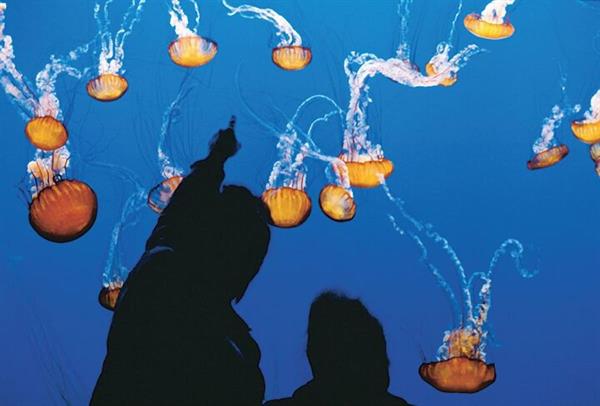 Gallery Image MBA.jpg Gallery Image MBA.jpg