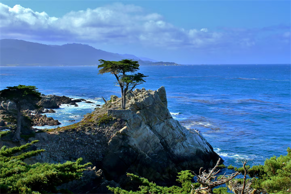 Gallery Image image_(2).png