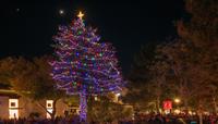 Holiday Tree Lighting Celebration