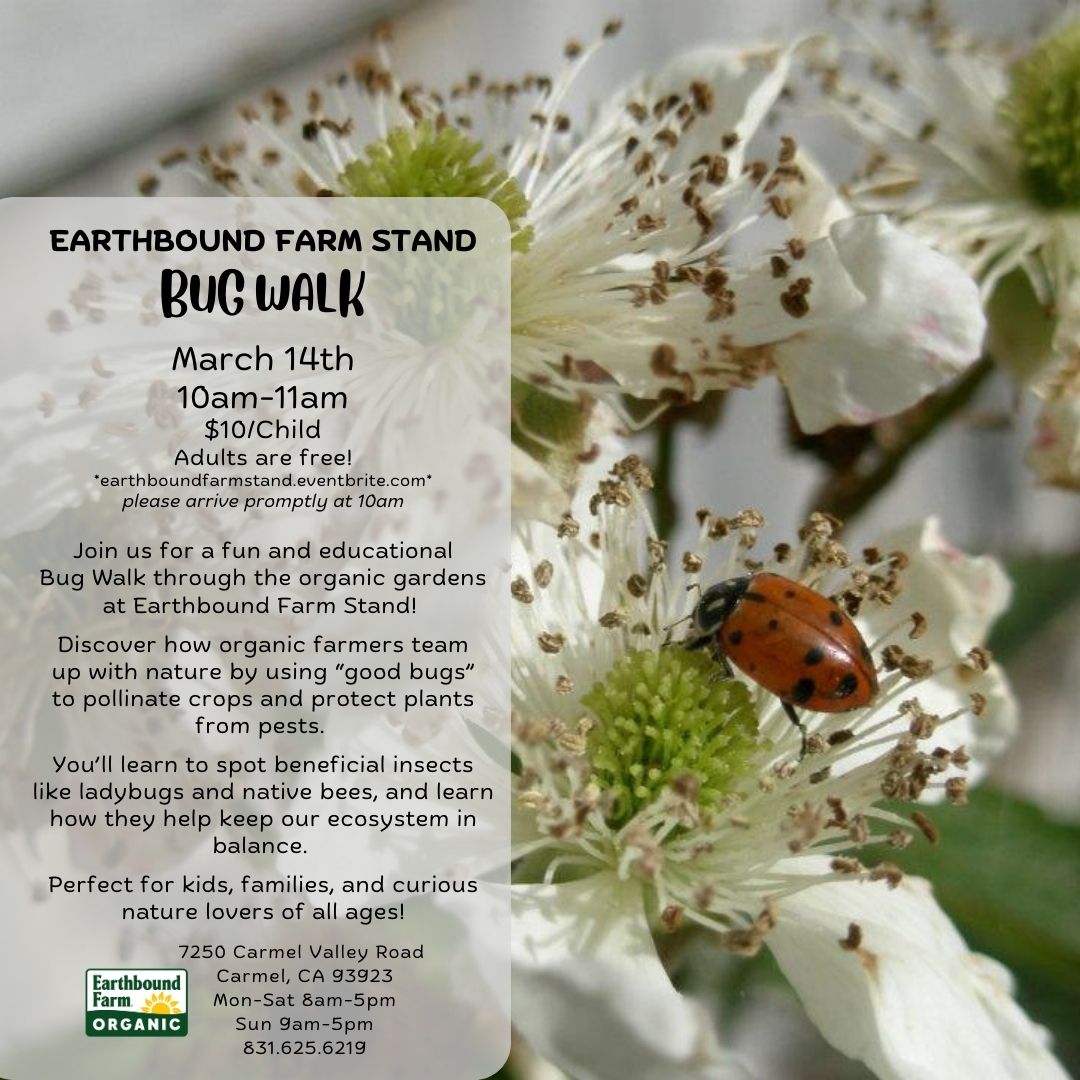 Bug Walk at Earthbound Farm Stand - Mar 14, 2026