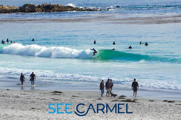 Gallery Image DSC04497.jpg