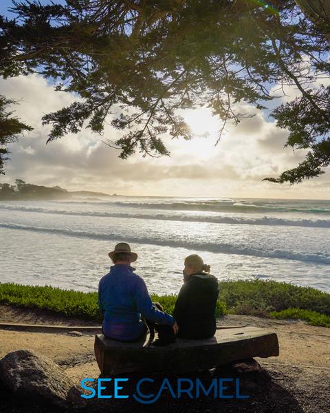 Gallery Image _DSC6441-Edit.jpg