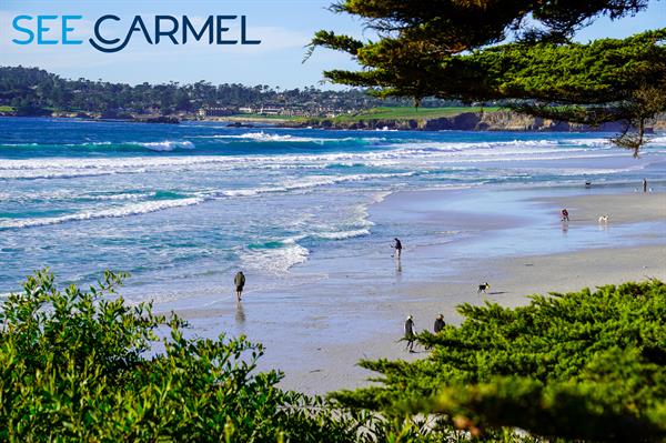 Gallery Image _DSC6603.jpg