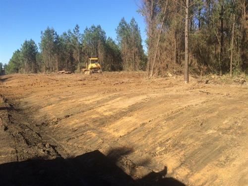 Land Clearing / Sloping