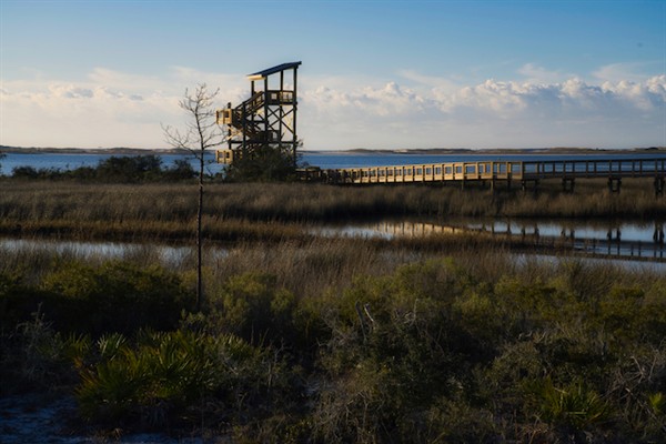 Observation Tower Photo Credit: Sophie Pirard