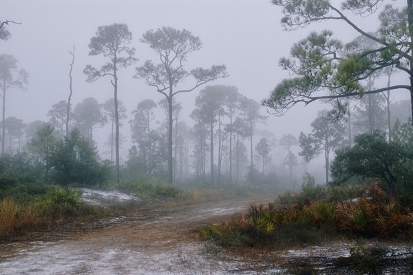 Foggy morning on the trail Photo Credit: Sophie Pirard