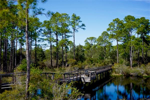 Long Pond Boardwalk Photo Credit: Sophie Pirard