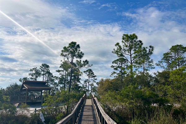 Long Pond Boardwalk with Pavilion Photo Credit: Sophie Pirard
