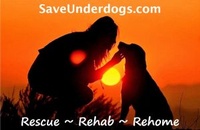 Save Underdogs